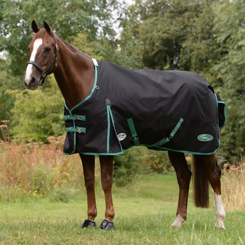 Weatherbeeta Green-Tec Lite 50g Turnout Rug in Black and Green